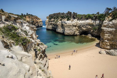 Great Ocean Road Reverse Itinerary With 12 Apostles From Melbourne - Accommodation Fremantle 5