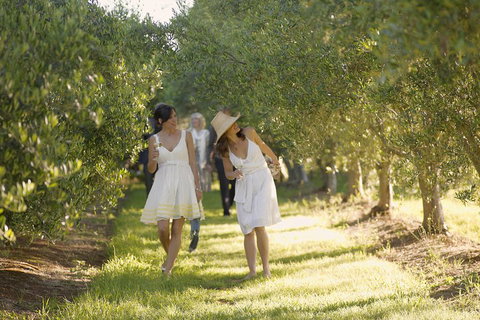 Yarra Valley Wine Tour With Local Harvest Tastings From Melbourne - Accommodation Fremantle 0