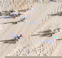 Unlimited Sandboarding - Accommodation Fremantle