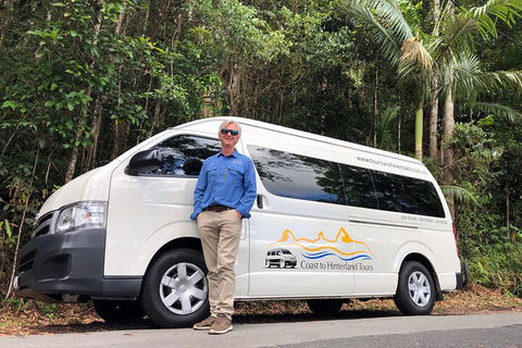 Sunshine Coast Hinterland Rainforest, Views And Montville Day Tour Inc. Lunch - Accommodation Fremantle 1