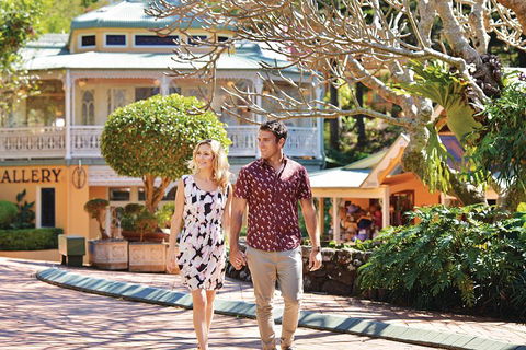 Sunshine Coast Hinterland Rainforest, Views And Montville Day Tour Inc. Lunch - Accommodation Fremantle 4