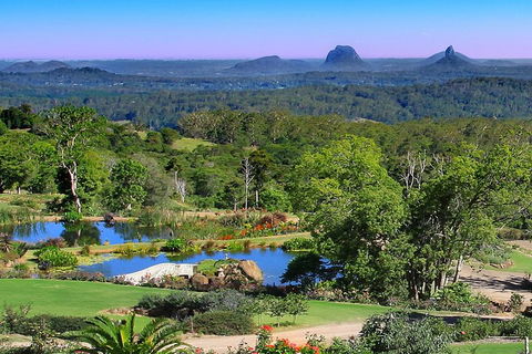 Sunshine Coast Hinterland Rainforest, Views And Montville Day Tour Inc. Lunch - Accommodation Fremantle 5