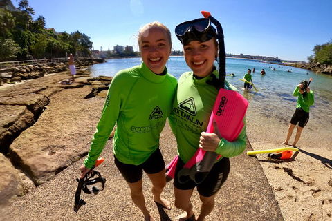Manly Snorkel Trip And Nature Walk With Local Guide - Accommodation Fremantle 1