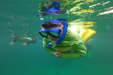Manly Snorkel Trip And Nature Walk With Local Guide - Accommodation Fremantle 5