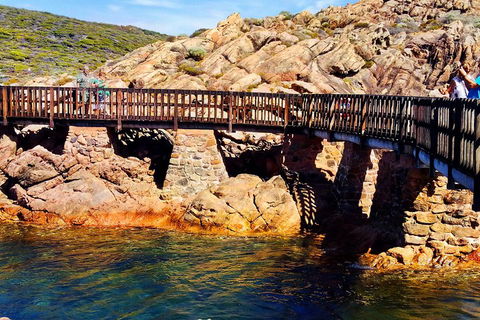 Margaret River (Private) Day Tour - Accommodation Fremantle 3