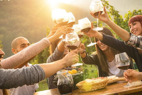Yarra Valley, Dandenong Ranges Inc. Lunch With Wine,plus Morning Tea,chocolate - Accommodation Fremantle 4