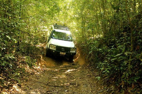 Barron Gorge And Kuranda National Park Half Day Rainforest And Waterfall 4WD Tour From Cairns - Accommodation Fremantle 2