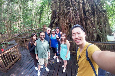Barron Gorge And Kuranda National Park Half Day Rainforest And Waterfall 4WD Tour From Cairns - Accommodation Fremantle 5