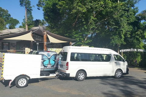 Airport Transfer To Or From Cairns Hotels For Up To 13 People - Accommodation Fremantle 4