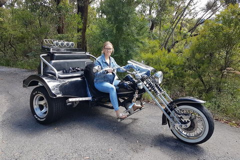 Blue Mountains 1-Hour Trike Tour Of Three Sisters - Accommodation Fremantle 4