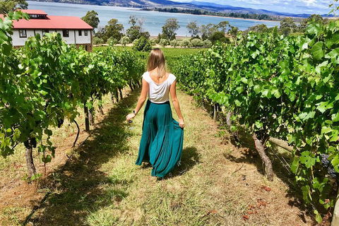Tamar Valley Wine Tour With Lunch - Accommodation Fremantle 2