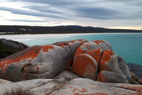 3-Day Bay Of Fires Photography Workshop From Hobart - Accommodation Fremantle 0