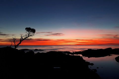 3-Day Bay Of Fires Photography Workshop From Hobart - Accommodation Fremantle 1