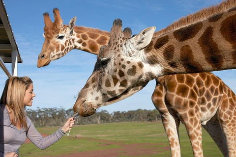 Melbourne City Card (2 Days): Visit Unlimited Attractions! - Accommodation Fremantle 1