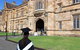 Bespoke Off-the-Beaten-Path Tour Of Inner Sydney - thumb 3