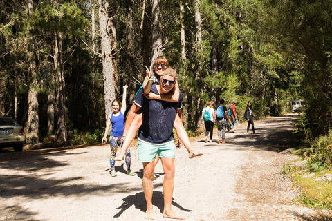 7-Day Best Of Tasmania Adventure Experience From Hobart (flexible Ticket) - Accommodation Fremantle 5