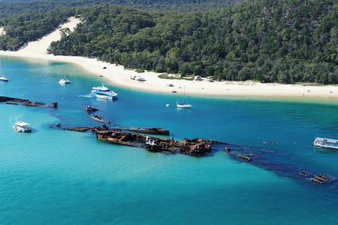 All Inclusive Dolphin And Tangalooma Wrecks Cruise - Accommodation Fremantle 4