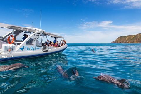 Victor Harbor And McLaren Vale Wine Region Day Tour - Accommodation Fremantle 1