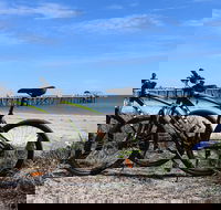 Adelaide City to Sea Bike Tour - Accommodation Fremantle