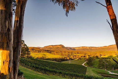 Taste Of The Blue Mountains - Lunch & Wine Tasting, Beer, Cider & Gin Tasting - Accommodation Fremantle 1