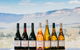Taste Of The Blue Mountains - Lunch & Wine Tasting, Beer, Cider & Gin Tasting - thumb 3