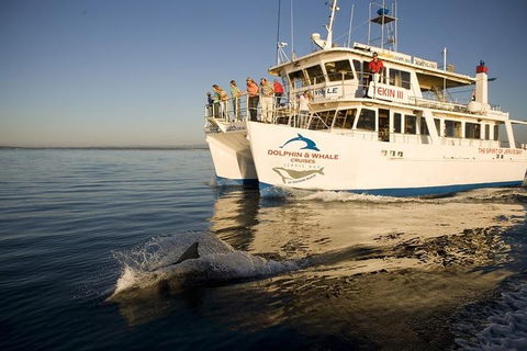 Jervis Bay Dolphin Watch Cruise - Accommodation Fremantle 3