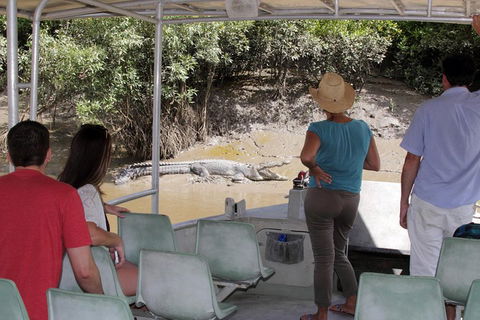 Whitsunday Crocodile Safari Including Lunch - Accommodation Fremantle 4