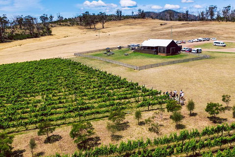 Tasmanian Wine Tour - Accommodation Fremantle 3