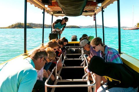 Airlie Beach Glass Bottom Boat Tour - Accommodation Fremantle 1