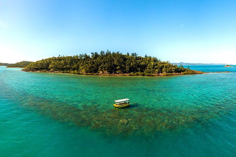Airlie Beach Glass Bottom Boat Tour - Accommodation Fremantle 3