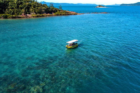 Airlie Beach Glass Bottom Boat Tour - Accommodation Fremantle 4