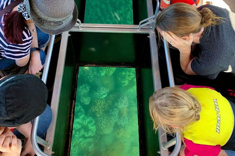 Airlie Beach Glass Bottom Boat Tour - Accommodation Fremantle 5