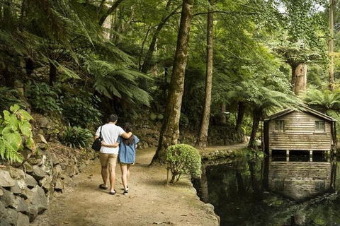 Discover Tour: Dandenong Ranges & William Ricketts Sanctuary - Accommodation Fremantle 0