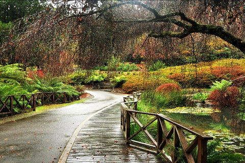 Discover Tour: Dandenong Ranges & William Ricketts Sanctuary - Accommodation Fremantle 3