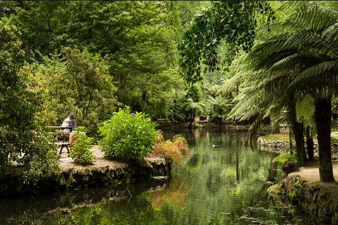 Discover Tour: Dandenong Ranges & William Ricketts Sanctuary - Accommodation Fremantle 4