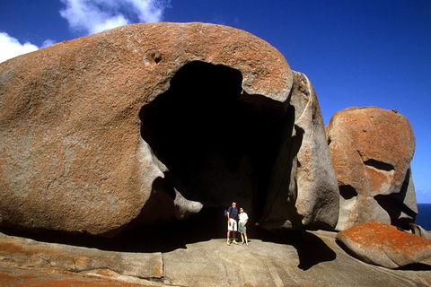 Full-Day Kangaroo Island Safari From Penneshaw - Accommodation Fremantle 0