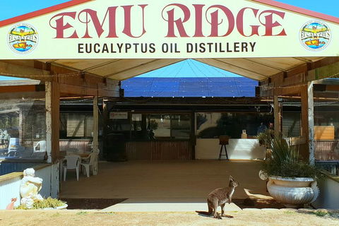 Full-Day Kangaroo Island Safari From Penneshaw - Accommodation Fremantle 2