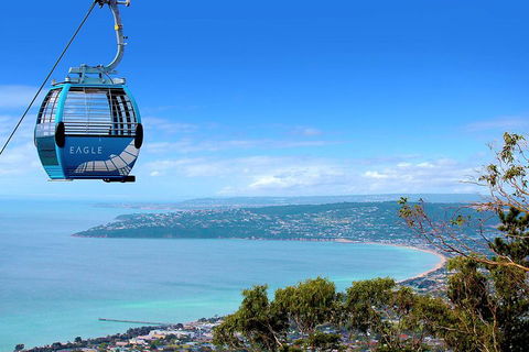 Peninsula Hot Springs Tour With Restaurant Lunch & Gondola Ride - Accommodation Fremantle 1