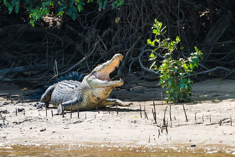 Full Day Cooktown Private Tour - Accommodation Fremantle 4