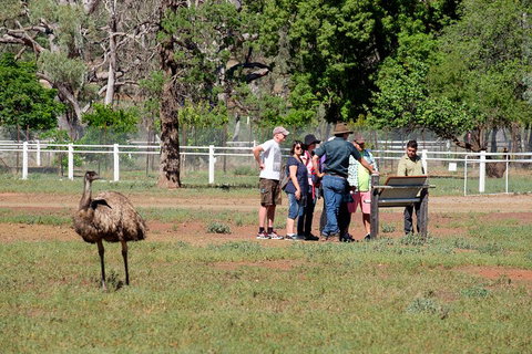 Yura Udnyu - Our Culture, Your Culture (Aboriginal Cultural Walk) - Accommodation Fremantle 1