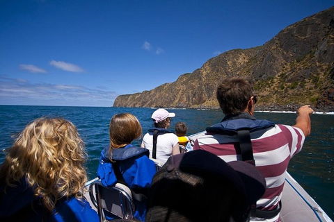 Seal Island Boat Tour From Victor Harbor - Accommodation Fremantle 0