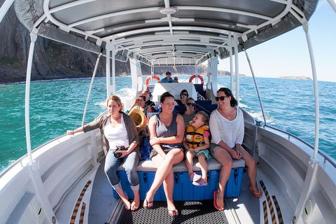 Seal Island Boat Tour From Victor Harbor - Accommodation Fremantle 1