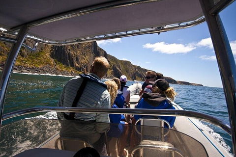 Seal Island Boat Tour From Victor Harbor - Accommodation Fremantle 2