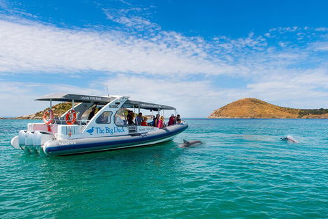 Southern Ocean Adventure From Victor Harbor - Accommodation Fremantle 1