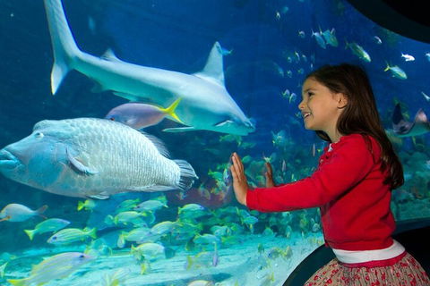 Melbourne BIG Ticket - LEGOLAND Discovery And SEA LIFE Melbourne - Accommodation Fremantle 1