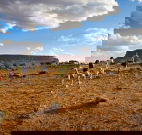 Mount Conner 4WD Small Group Tour from Ayers Rock including Dinner - Accommodation Fremantle