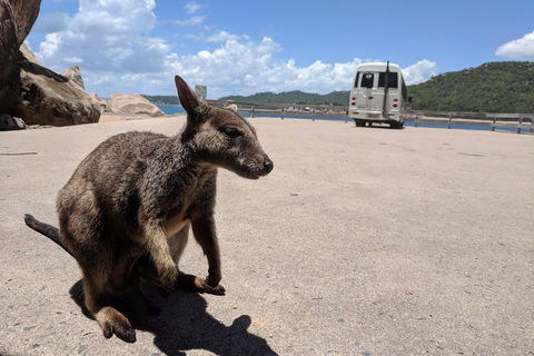 Magnetic Island Tour: Maggie Comprehensive - Accommodation Fremantle 0