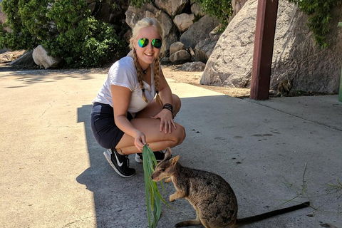 Magnetic Island Tour: Maggie Comprehensive - Accommodation Fremantle 2
