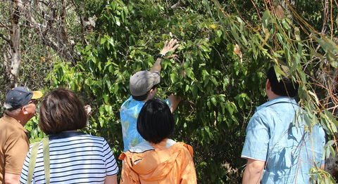 Magnetic Island Tour: Maggie Comprehensive - Accommodation Fremantle 4