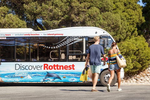 Discover Rottnest With Ferry & Bus Tour From Perth Or Fremantle - Accommodation Fremantle 1
